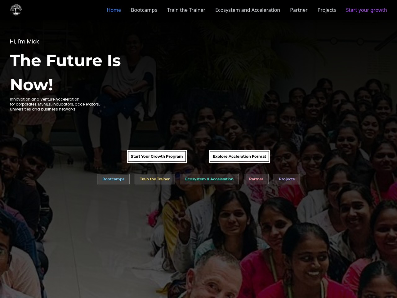 Mick Walvisch — original website or product interface